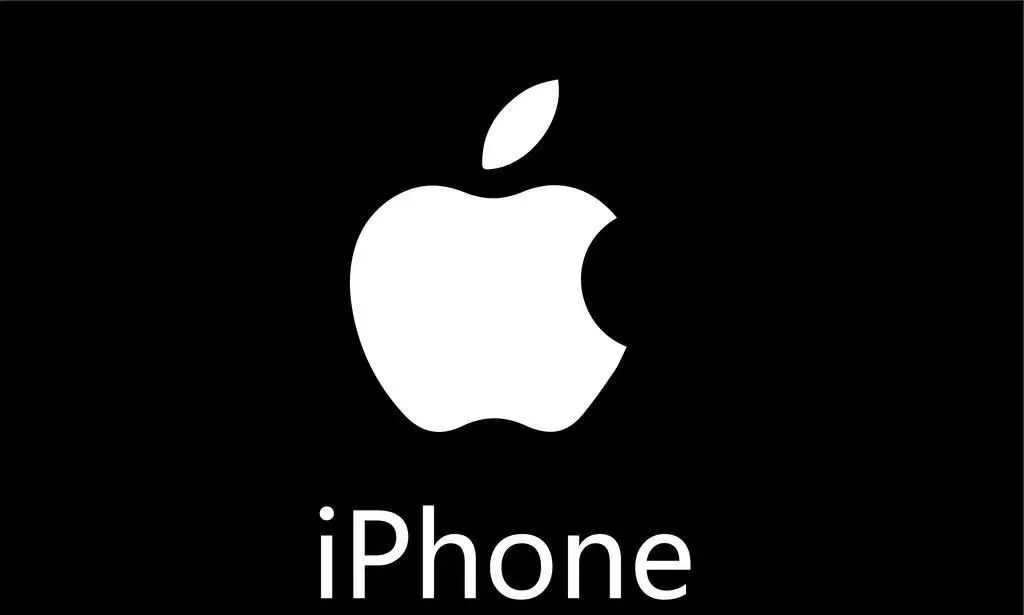 大摩：IPHONE大约80%的产能依然来自中国